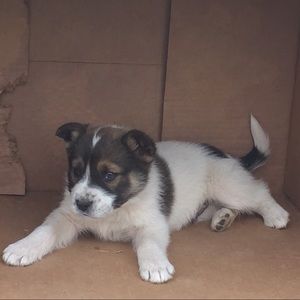 Meet your Posher, Jose